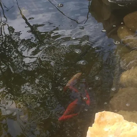 Lelle-kert 01 Apartamento Balatonlelle