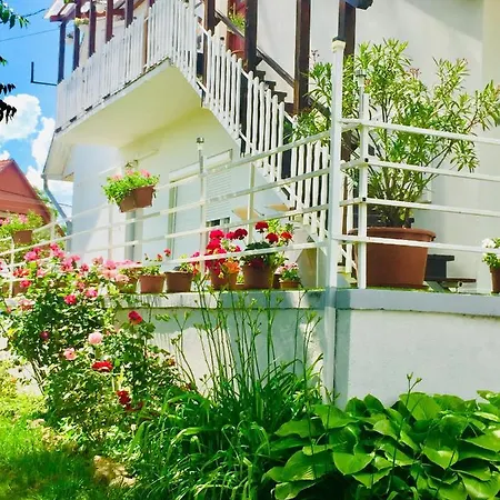 Lelle-kert 01 Balatonlelle