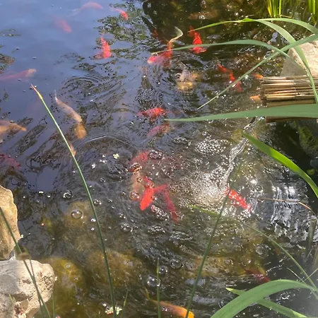 Lelle-kert 01 Apartamento *