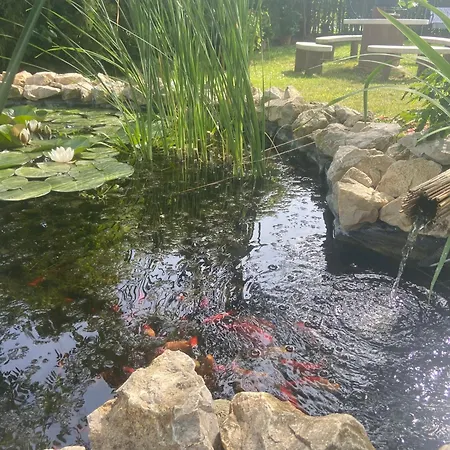 Lelle-kert 01 Apartamento