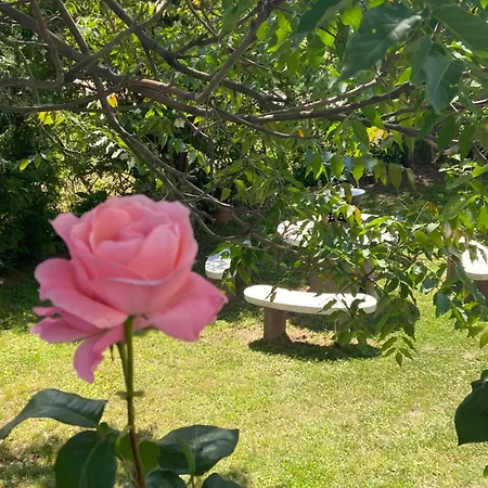 Lelle-kert 01 Apartamento