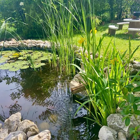 Lelle-kert 01 Apartamento *